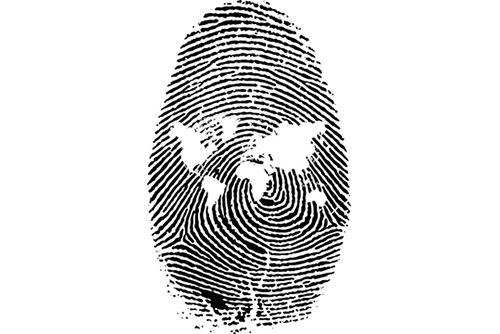 identit&eacute; visuelle